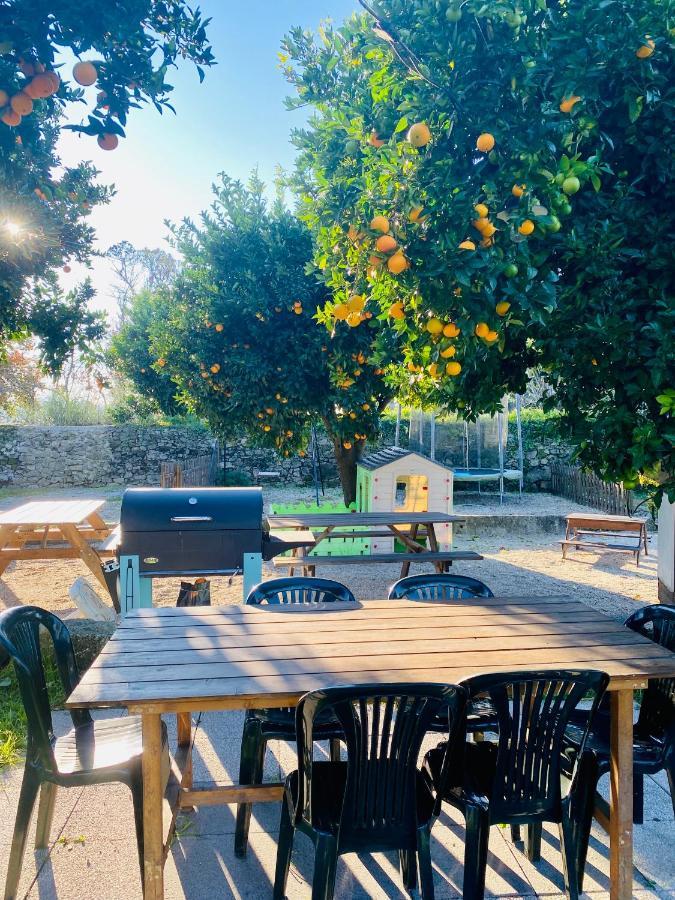 Apartment Quinta De Areias Crespos Екстер'єр фото